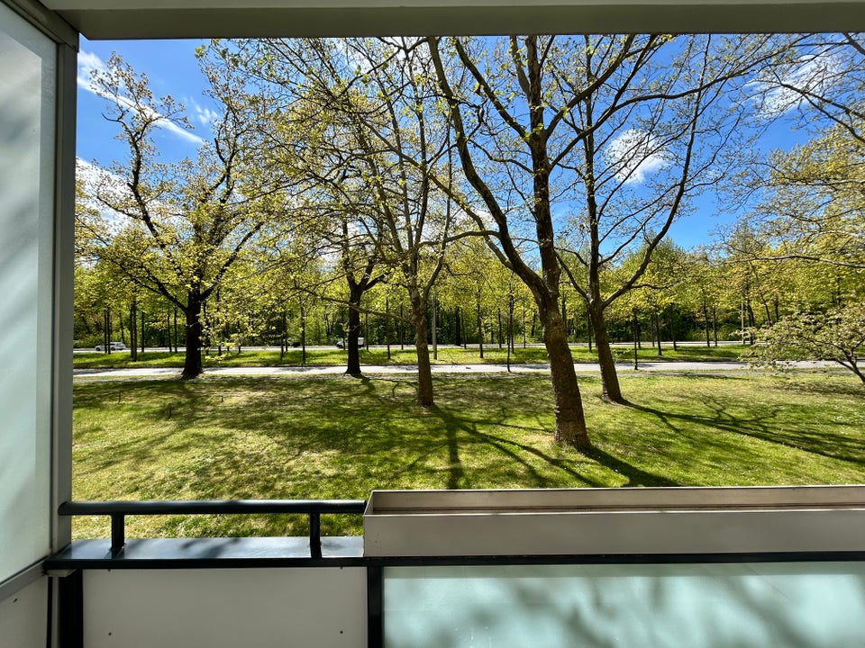 2 Zimmerwohnung mit Balkon am Großen Garten - Photo 4