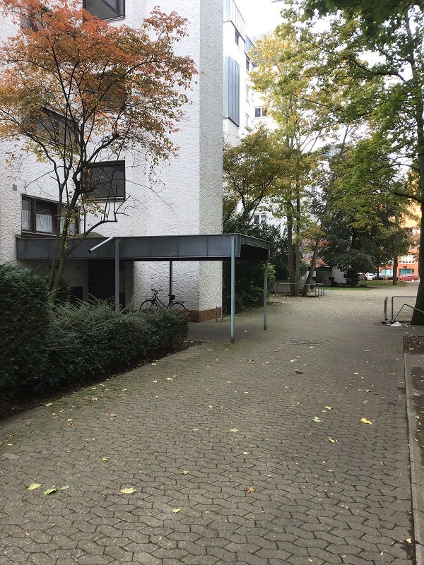 Mitten drin: Renovierte, helle 3-Zi.-Wohnung mit Balkon - Foto 2