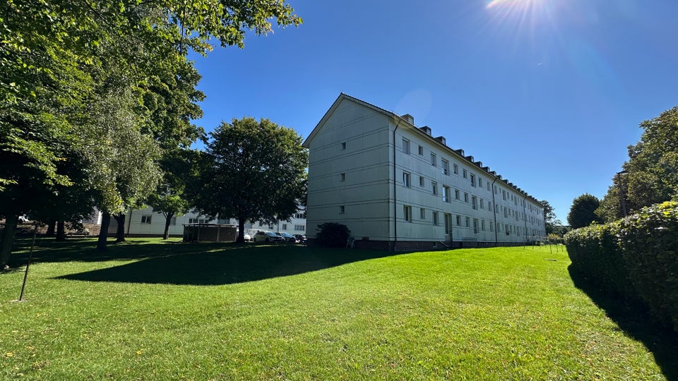 2. OG / 3 Zimmer (frisch saniert) - Foto 3