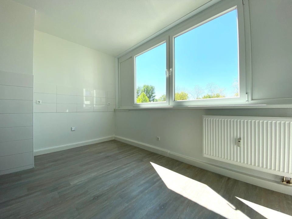 2-Zimmer-Wohnung mit Wand und Bodenbelag - Foto 1