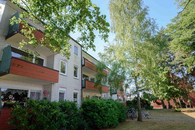 Ein tolles Wohngefühl Wohnung sucht Single ! - Foto 3