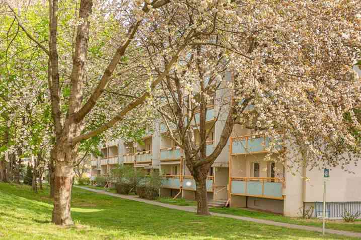 2 Raum-Wohnung für Sportliche - Photo 1