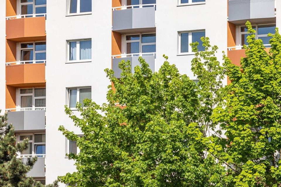 Sanierte 3 Raumwohnung mit Balkon - Foto 2