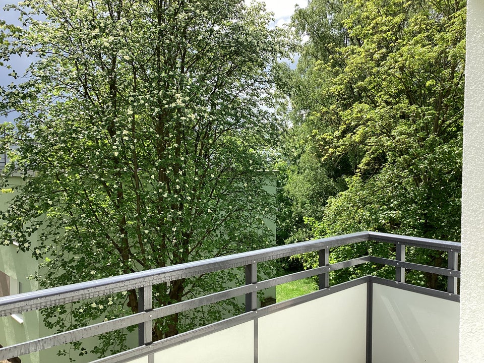 Renovierte 2-Zimmer Wohnung mit Dusche in Baumheide - Foto 3