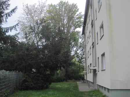 Top! Sanierte/Renovierte 2-Zimmer-Stadtwohnung - Foto 3