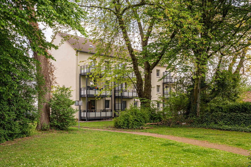 Schöne 2Zi.-EG Wohnung mit Dusche und Balkon, bezugsfertig neu renoviert! - Foto 5