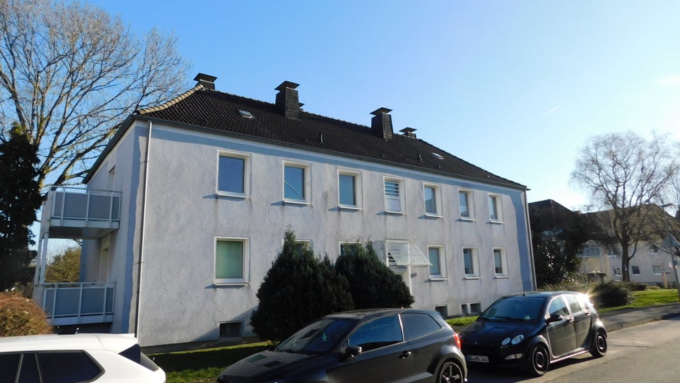 Single Wohnung im Erdgeschoss mit neuem Duschbad und neu einzugsbereit renoviert! - Foto 4