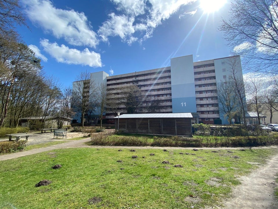 Günstige und schöne 1,5-Zimmer-Terrassenwohnung - Foto 4