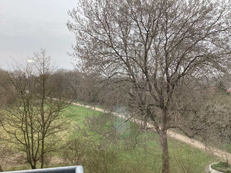 Da kommt man gern Heim. Sanierte 2,5-Zimmer-Wohnung mit Balkon und Fahrstuhl, sofort anmietbar! - Photo 3