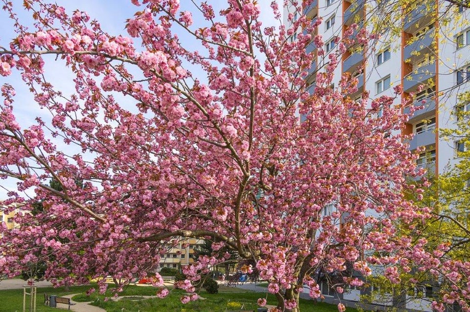 Familienglück in den neuen vier Wänden - Foto 4