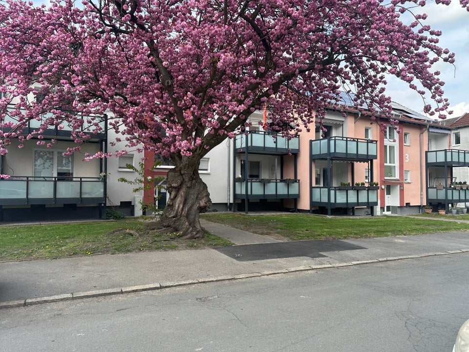 Lust auf Veränderung? Schöne 3-Zimmer-Stadtwohnung - Foto 4