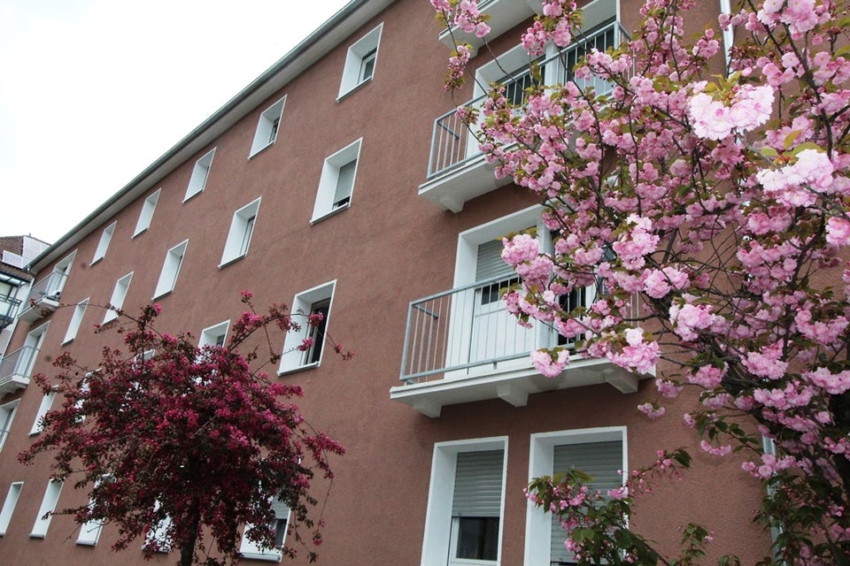 Genial zentral - 2 Zimmer -Einbauküche - Balkon - (3.OG ohne Aufzug) - Foto 5
