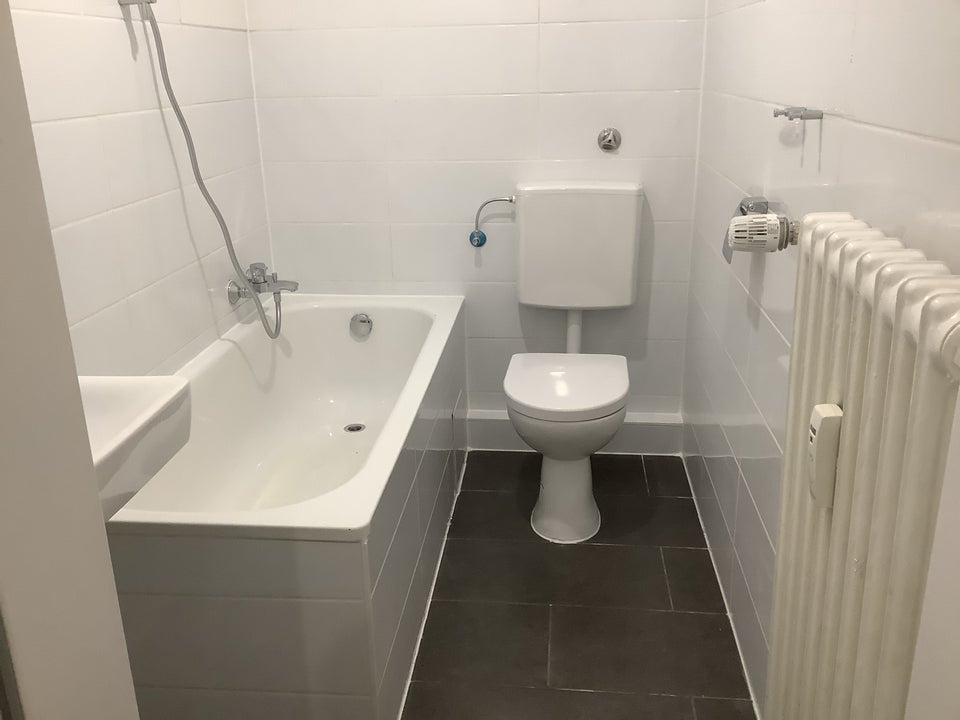 Wohnung mit riesiger Terrasse mitten in der Stadt - Foto 1