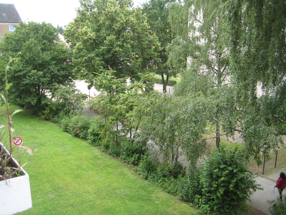 Sonnige 3-Zimmer-Wohnung mit Balkon und Solarthermie - Foto 2