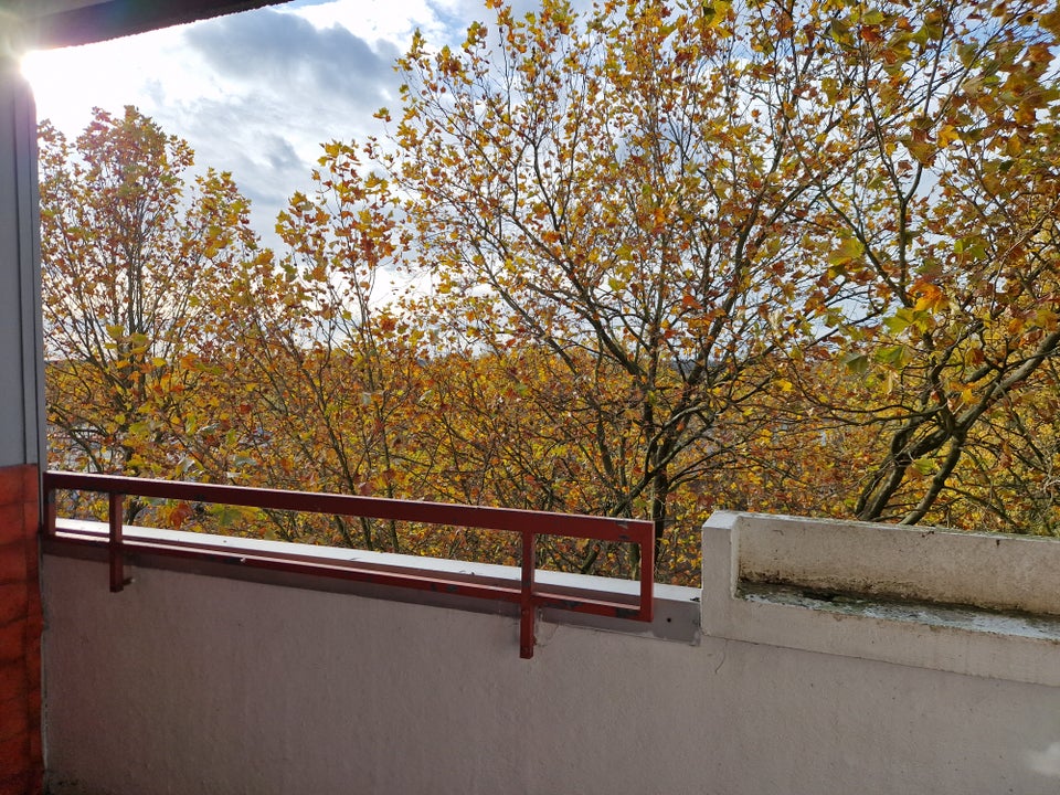 Erstbezug nach erfolgreicher Strangsanierung! komplett renovierte 3-Zimmer-Wohnung - Photo 2