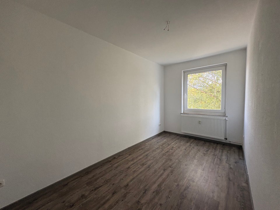 Was das Herz begehrt und noch viel mehr! - Photo 3