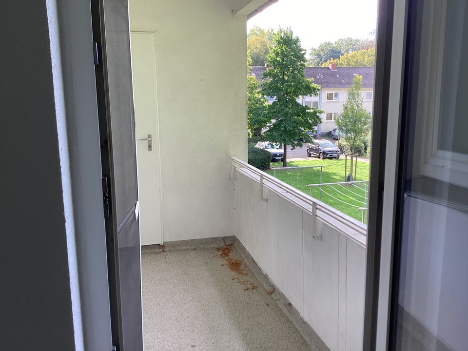 Wer will mich!? 3-Zimmer-Wohnung - Foto 3