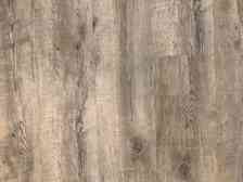 Schöner Wohnen: Familienfreundliche 3-Zimmer-Wohnung - Photo 5