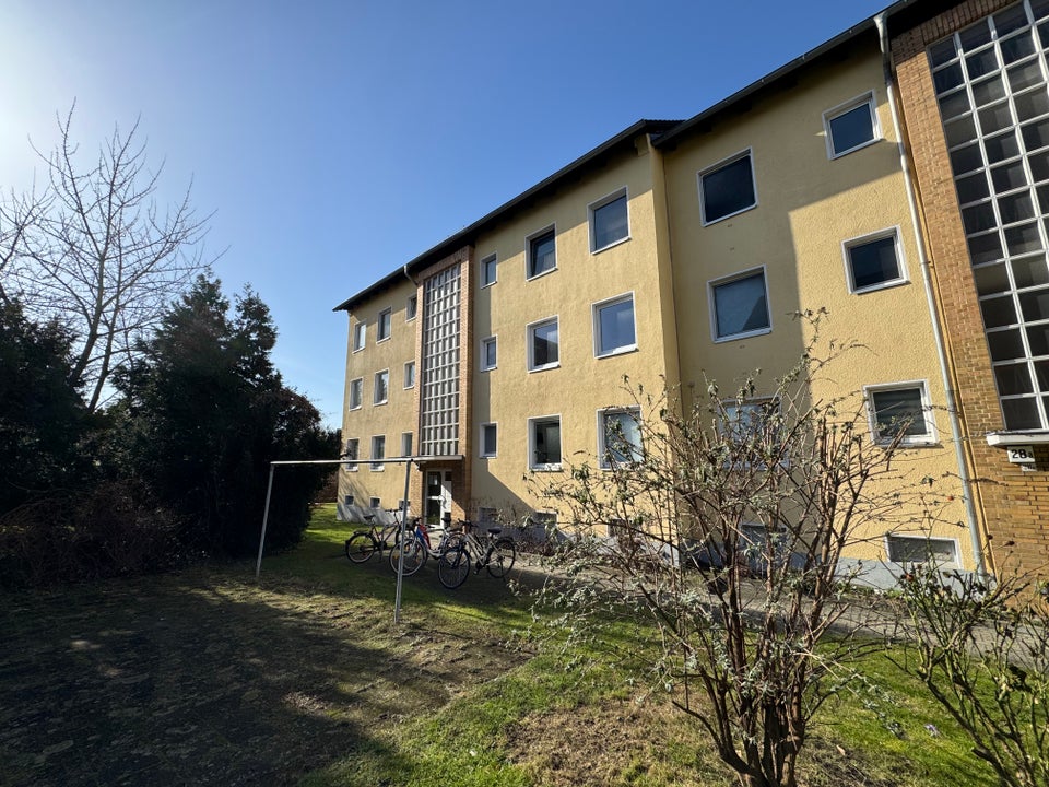 Das Glück hat ein Zuhause - Foto 3