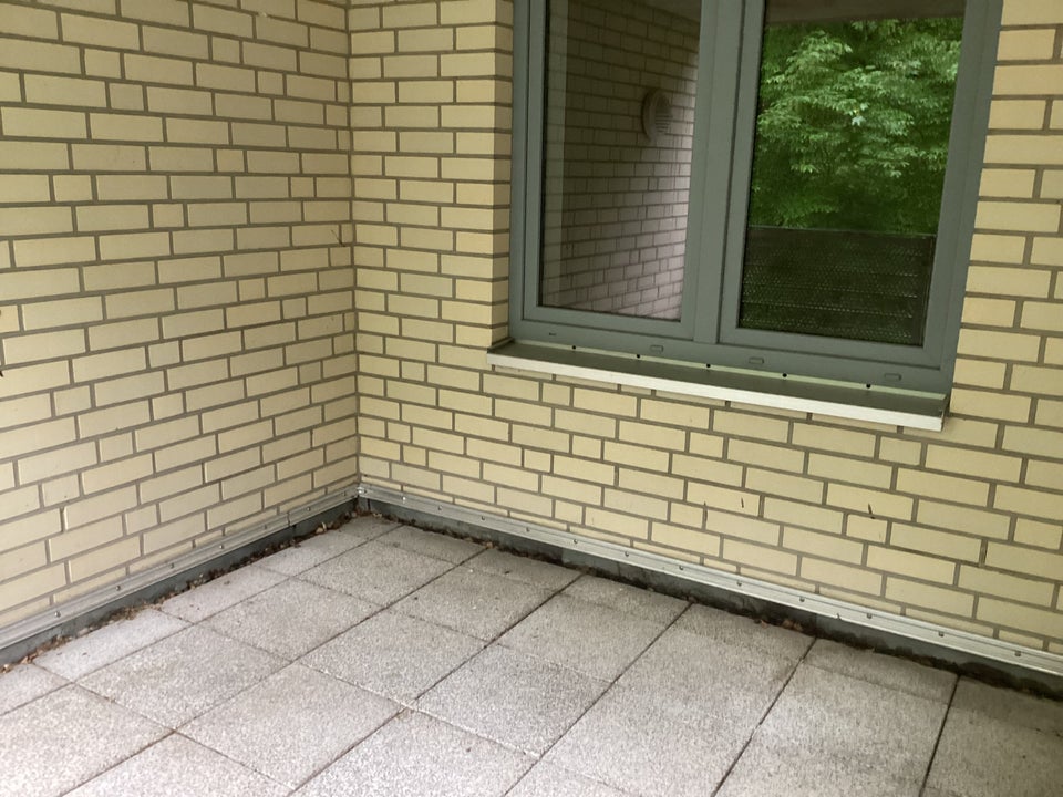 Exklusives Wohnen am Bürgerpark ab 40. Jahren! - Photo 5