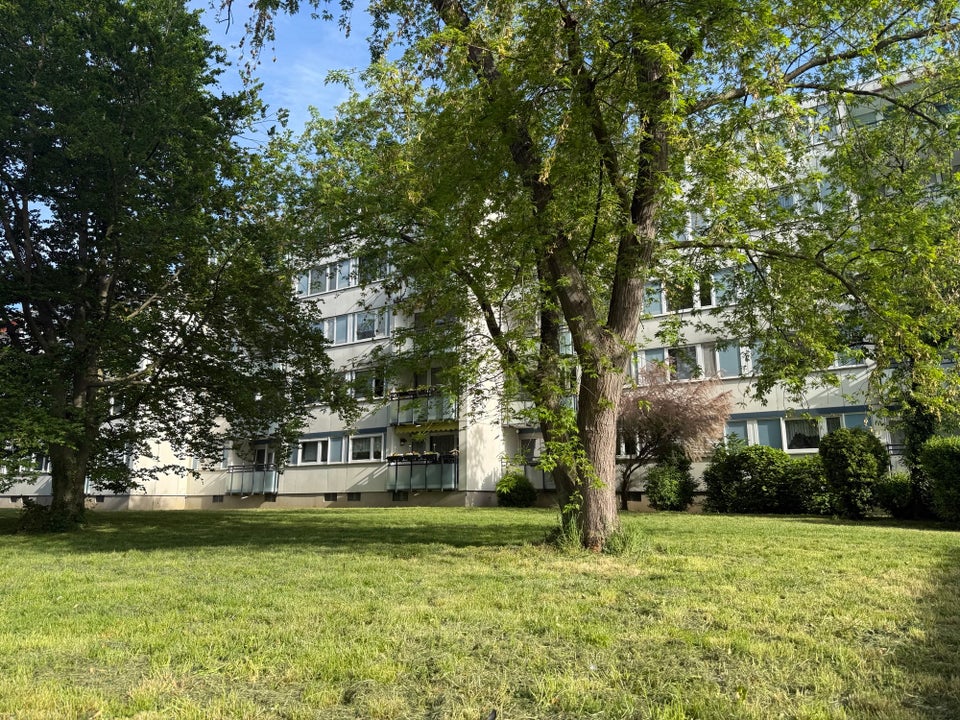 Familienfreundliche Wohnung mitten in Freiburg – ideal gelegen - Photo 3