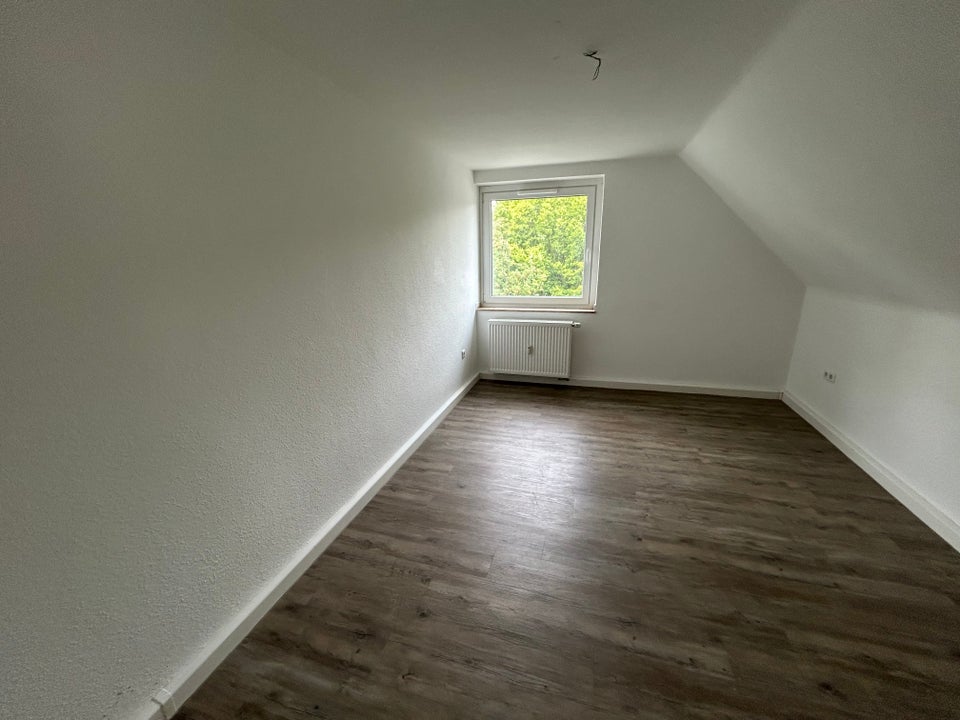 Schöne, große 3-Zimmer-Dachgeschoss-Wohnung im Nordviertel in direkter Uni-Nähe - Photo 3