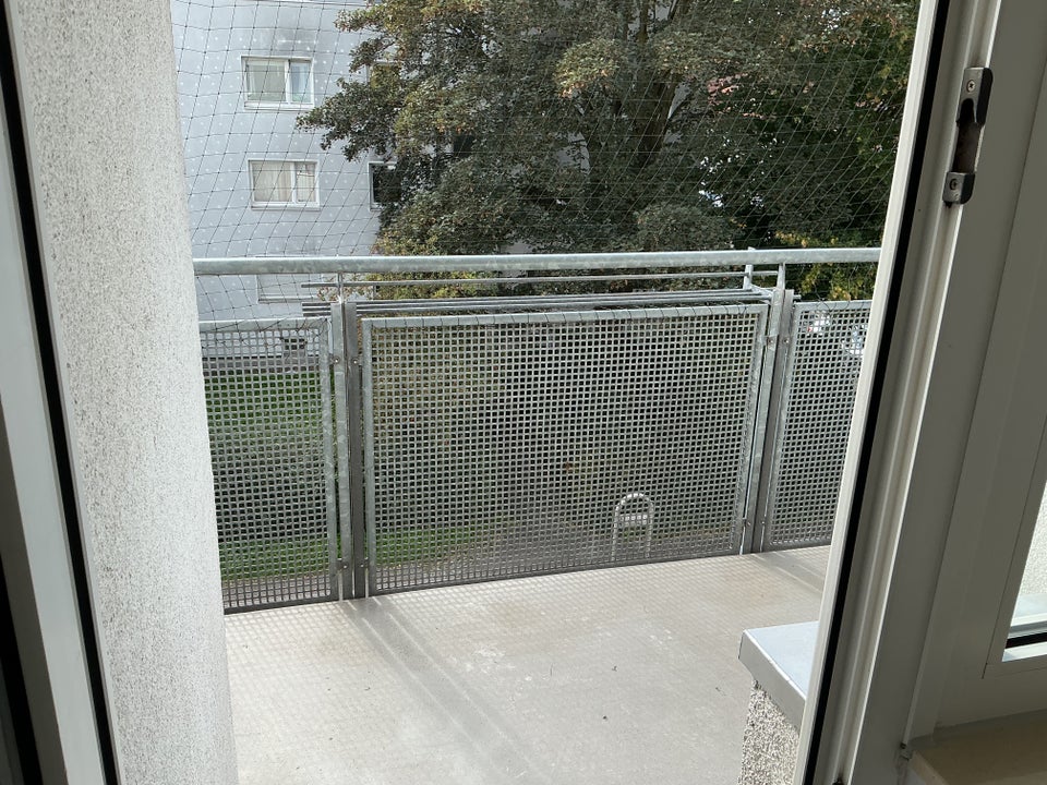 Verfügbare hübsche 2,5 Zimmer-Wohnung in beliebter Lage - Photo 2