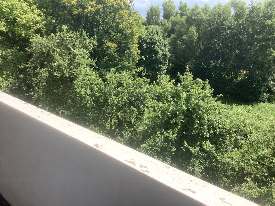 Wo das Leben so spielt - weitläufige 3-Zimmer-Wohnung - Foto 5