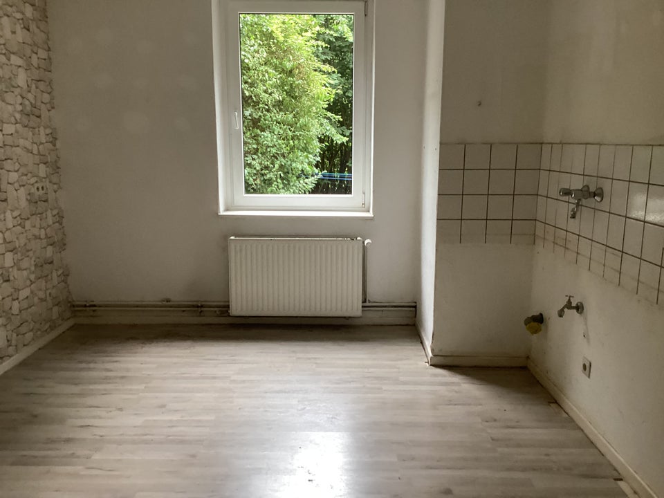 Frisch renovierte 3-Zimmer-Erdgeschosswohnung - Foto 2