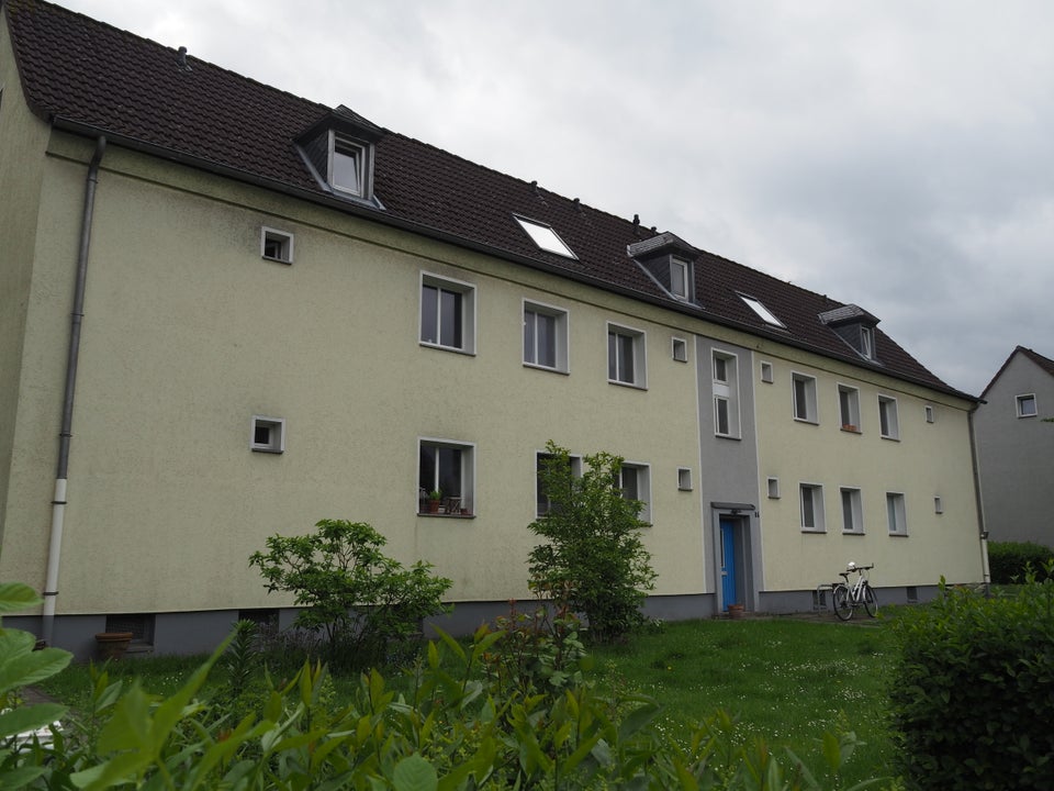 AC-West (Hörn/Königshügel/Melaten): Schöne -Whg., ruhige zentrumsnahe Lage im Grünen Nähe RWTH - Photo 3