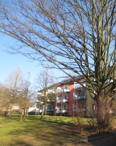 Für die kleine Familie - gemütliches Heim in Hörde - Foto 4