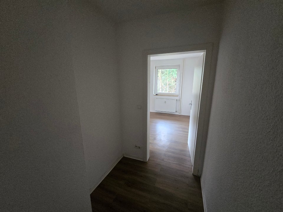 Moderne Wohnung in Hassels für Singles ab sofort - Photo 5