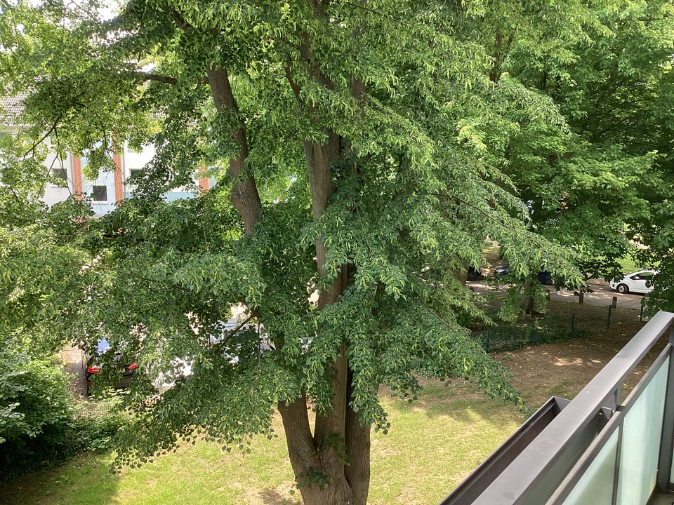 Schöne 3 Zimmer Wohnung mit Balkon, sofort anmietbar! - Foto 2