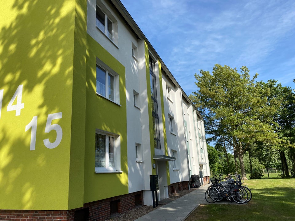 Renovierte 2-Zimmer-Wohnung - Foto 3