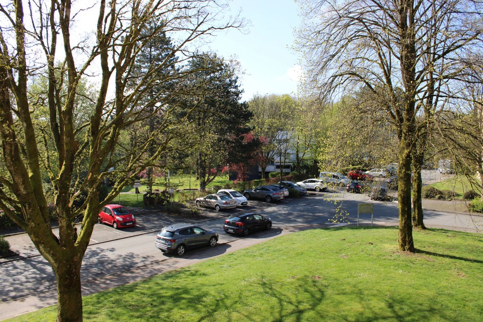 Gemütliche 3-Zi.-Whg. mit neuem Boden und sonniger Loggia in Vohwinkel - Foto 3