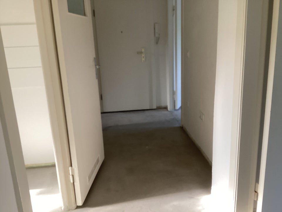 Auf gute Nachbarschaft: ansprechende 3-Zimmer-Wohnung - Foto 5
