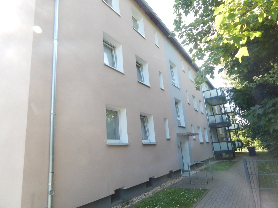 Bezugsfertige 3-Zimmer-Wohnung am Nußberg! - Foto 3