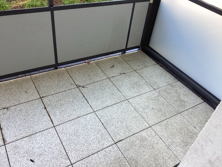 Schöne, renovierte 3-Zimmerwohnung in Münster-Mauritz! - Photo 4