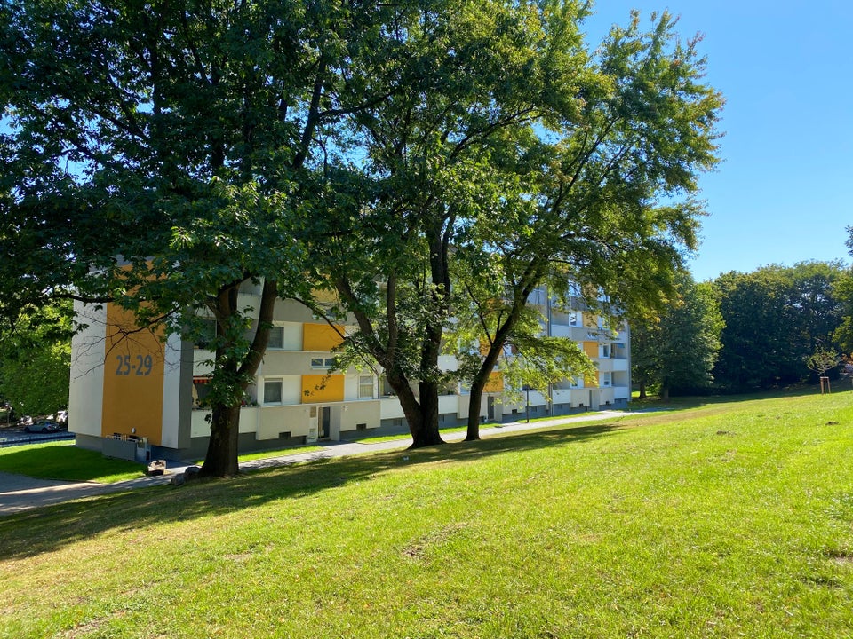 Barrierearme und frisch renovierte 3-Zimmer Wohnung im EG - Foto 3