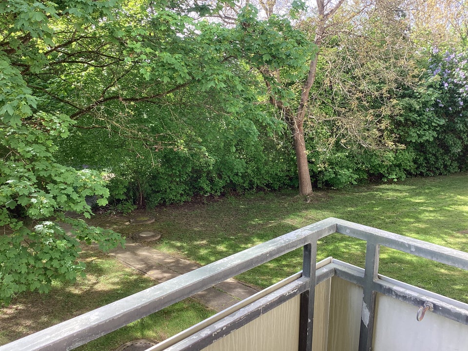 Miet mich - großzügige 5-Zimmer-Wohnung in guter Wohnlage - Photo 3