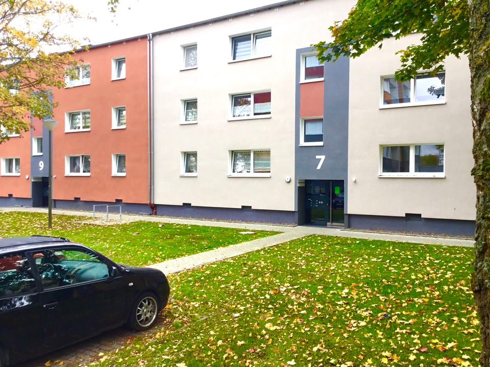 4-Zimmer-Wohnung frisch tapeziert - Foto 3