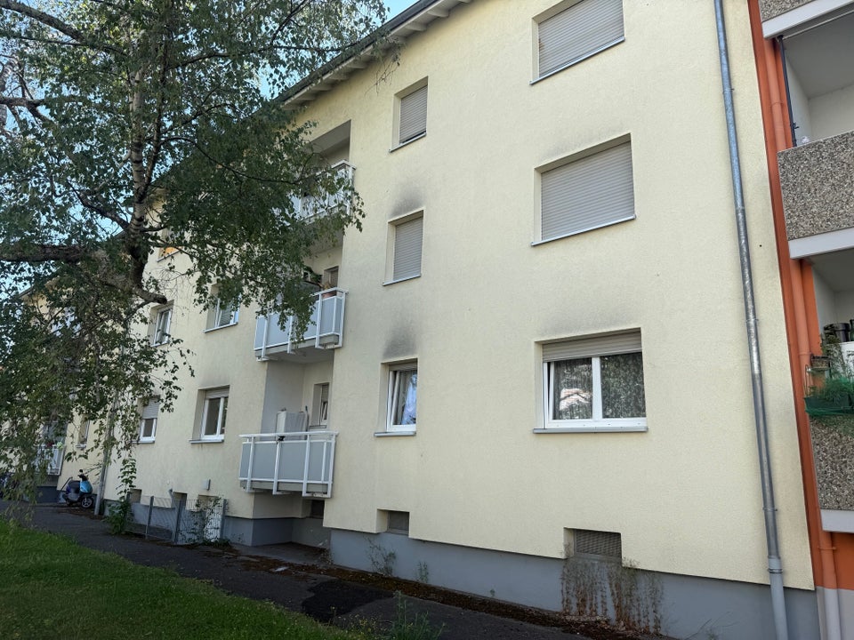 Attraktive Erdgeschosswohnung mit Balkon in Lörrach - Photo 3