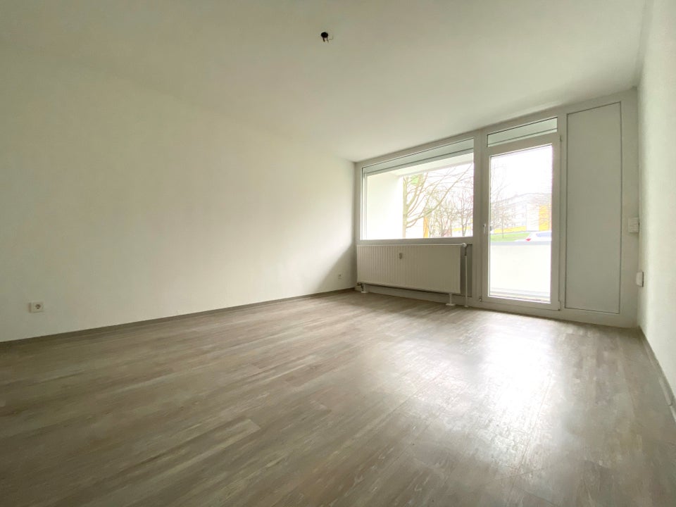 Barrierearme und frisch renovierte 3-Zimmer Wohnung im EG - Foto 5