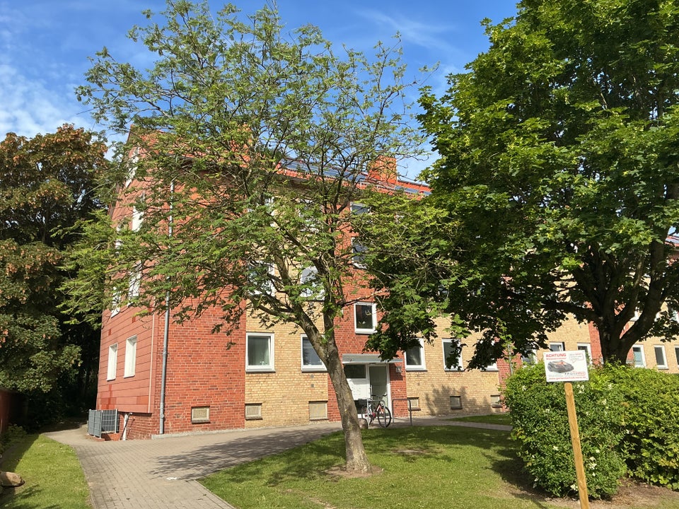Renovierte Wohnung in ruhiger Lage! - Foto 2