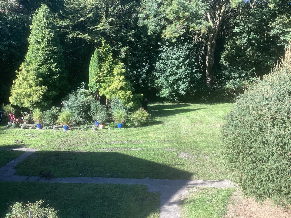 Hier macht wohnen Spaß: interessante 2,5-Zimmer-Wohnung mit Gartennutzung - Foto 2