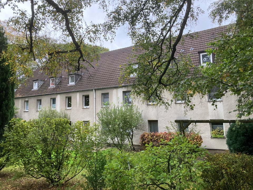 Wer will mich!? Interessante 2-Zimmer-Wohnung. Kein Balkon - Foto 4