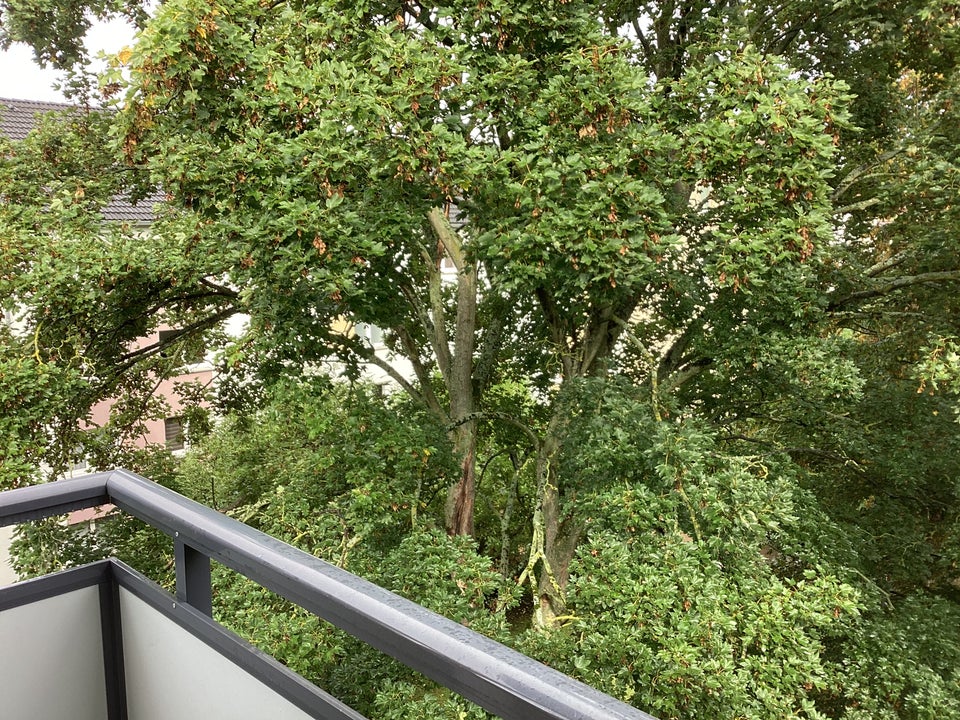 Hier findet jeder seinen Platz: 4-Zimmer-Wohnung in Stadtlage - Foto 3
