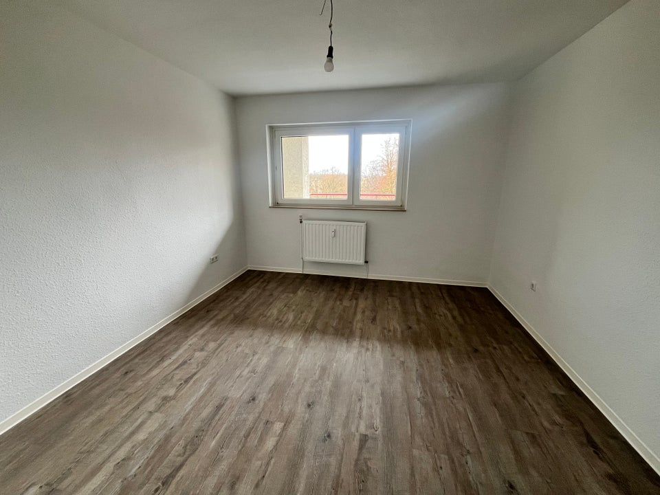 Diese Wohnung muss ich mieten, denn die große Küche hat was zu bieten! - Foto 5