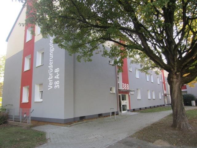 Ihr neues Zuhause wartet 2-Zimmer, frisch saniert - Photo 5
