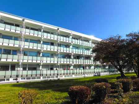 Lust auf Veränderung: 2-Zimmer-Wohnung - Photo 1